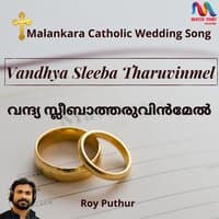 Vandhya Sleeba Tharuvinmel - Single