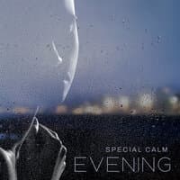 Special Calm Evening – Soothing New Age Music Perfect for Reading Books