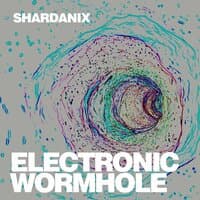 electronic wormhole