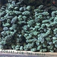 Forest for the Trees