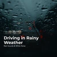 Driving in Rainy Weather