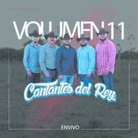 Volumen 11