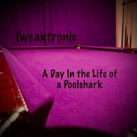 A Day In the Life of a Poolshark