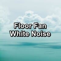 Floor Fan White Noise