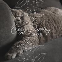 Cozy Purring of Cats – Collection of Gentle ASMR Sounds for Relaxation and Sleep, Animal Companion, Feel Secure, Sweet Pet