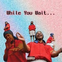 While You Wait...