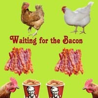 Waiting for the Bacon