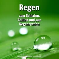 Regen zum Schlafen, Chillen und zur Regeneration