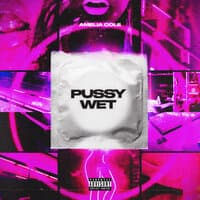 Pussy Wet