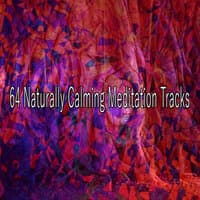 64 Naturally Calming Meditation Tracks