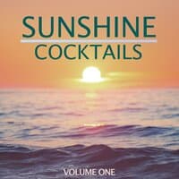 Sunshine & Cocktails, Vol. 1