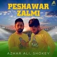 Peshawar Zalmi - Single