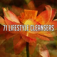 71 Lifestyle Cleansers