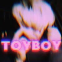 TOYBOY