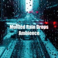 Muffled Rain Drops Ambience