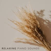 Relaxing Piano Sounds: Quiet and  Relaxation