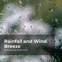 Rainfall and Wind Breeze