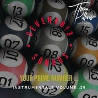 Your Prime Number ... Instrumentals, Vol. 29