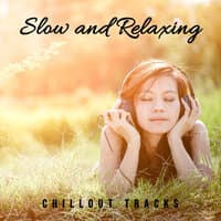 Slow and Relaxing Chillout Tracks