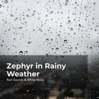 Zephyr in Rainy Weather