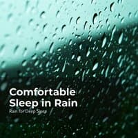 Comfortable Sleep in Rain