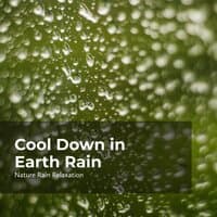 Earth Rain Mind Detox