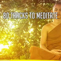 80 Tracks to Meditate