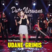 Udane Grimis