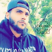 Laylow Staxx ~ Woods