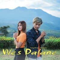 Wes Dalane