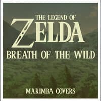 The Legend of Zelda: Breath of the Wild - Marimba Covers