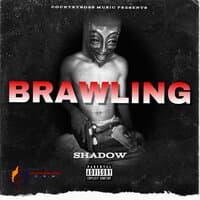 SHADOW (BRAWLING)