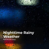 Nighttime Rainy Weather