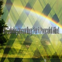 61 Calming Recordings for a Peaceful Mind