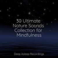 30 Ultimate Nature Sounds Collection for Mindfulness