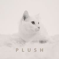 Plush