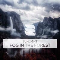 Fog in The Forest