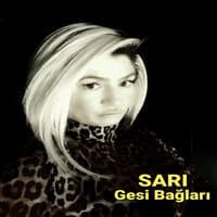 Gesi Bağları