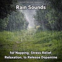 Rain Sounds for Napping, Stress Relief, Relaxation, to Release Dopamine