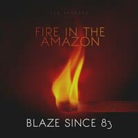 Fire in the Amazon