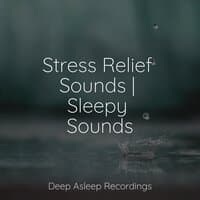 Stress Relief Sounds | Sleepy Sounds