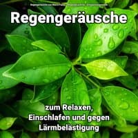 Regengeräusche zum Relaxen, Einschlafen und gegen Lärmbelästigung