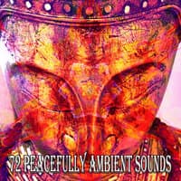 72 Peacefully Ambient Sounds