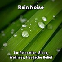 Rain Noise for Relaxation, Sleep, Wellness, Headache Relief