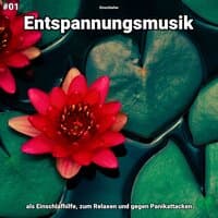 #01 Entspannungsmusik als Einschlafhilfe, zum Relaxen und gegen Panikattacken