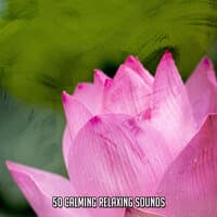 50 Calming Relaxing Sounds