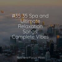 #35 35 Spa and Ultimate Relaxation Songs: Complete Vibes