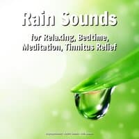 Rain Sounds for Relaxing, Bedtime, Meditation, Tinnitus Relief