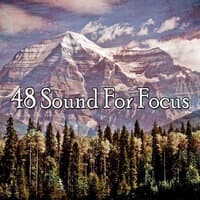 48 Sound For Focus