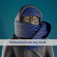 Pulsechain on My Neck